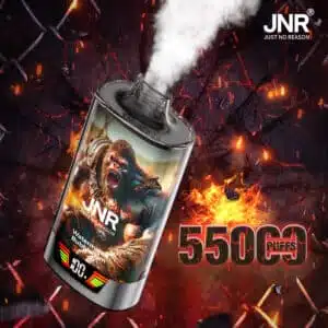 JNR Rage Gorilla 55000 puffs disposable vape — 42ml reservoir, Dual Mesh Coil, 950mAh rechargeable, Smart Screen